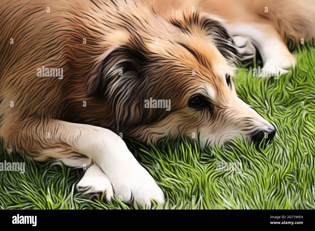 Ritratto di un cane di razza mista della Romania in giardino in primavera nello stile di un disegno morbido con vernici acriliche Foto Stock