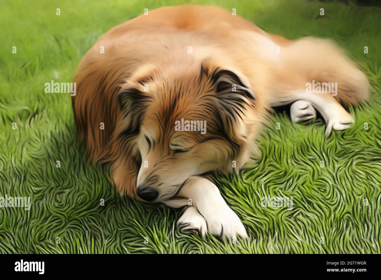 Ritratto di un cane di razza mista della Romania in giardino in primavera nello stile di un disegno morbido con vernici acriliche Foto Stock