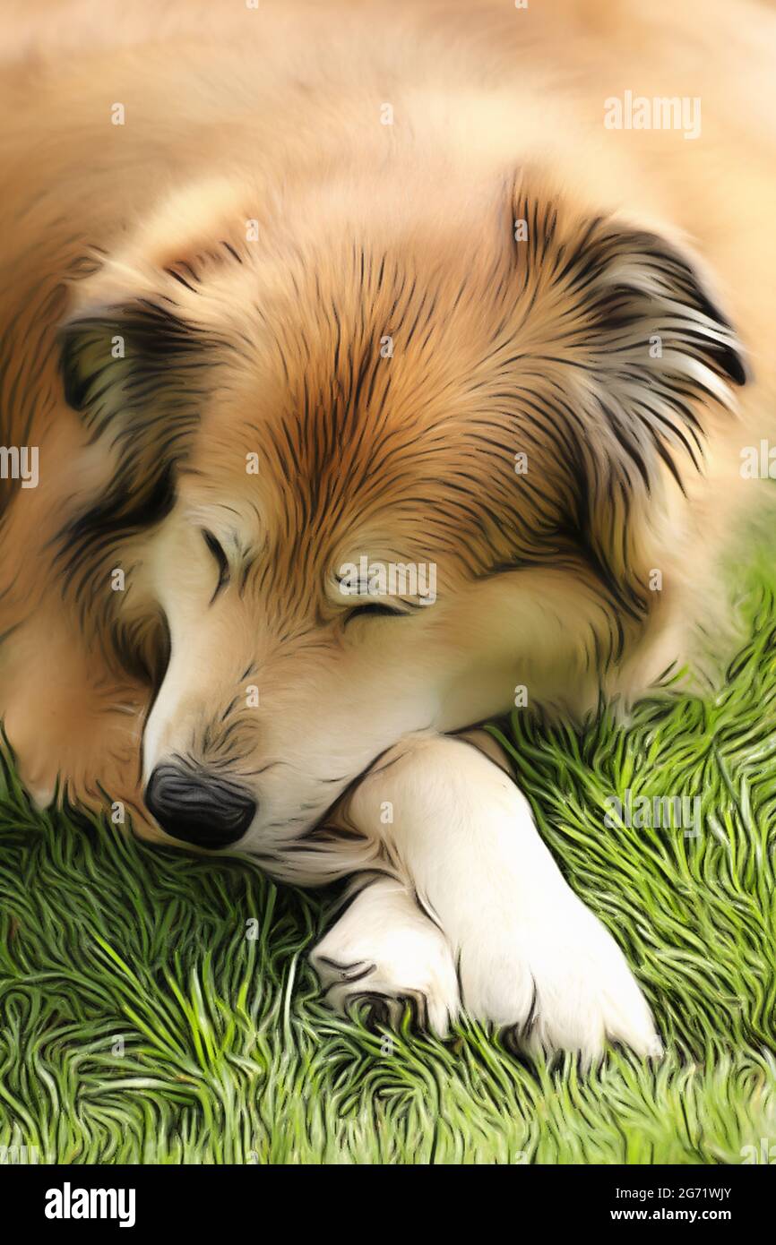 Ritratto di un cane di razza mista della Romania in giardino in primavera nello stile di un disegno morbido con vernici acriliche Foto Stock