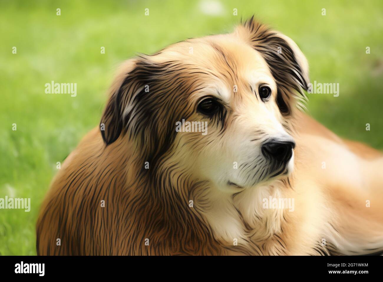 Ritratto di un cane di razza mista della Romania in giardino in primavera nello stile di un disegno morbido con vernici acriliche Foto Stock
