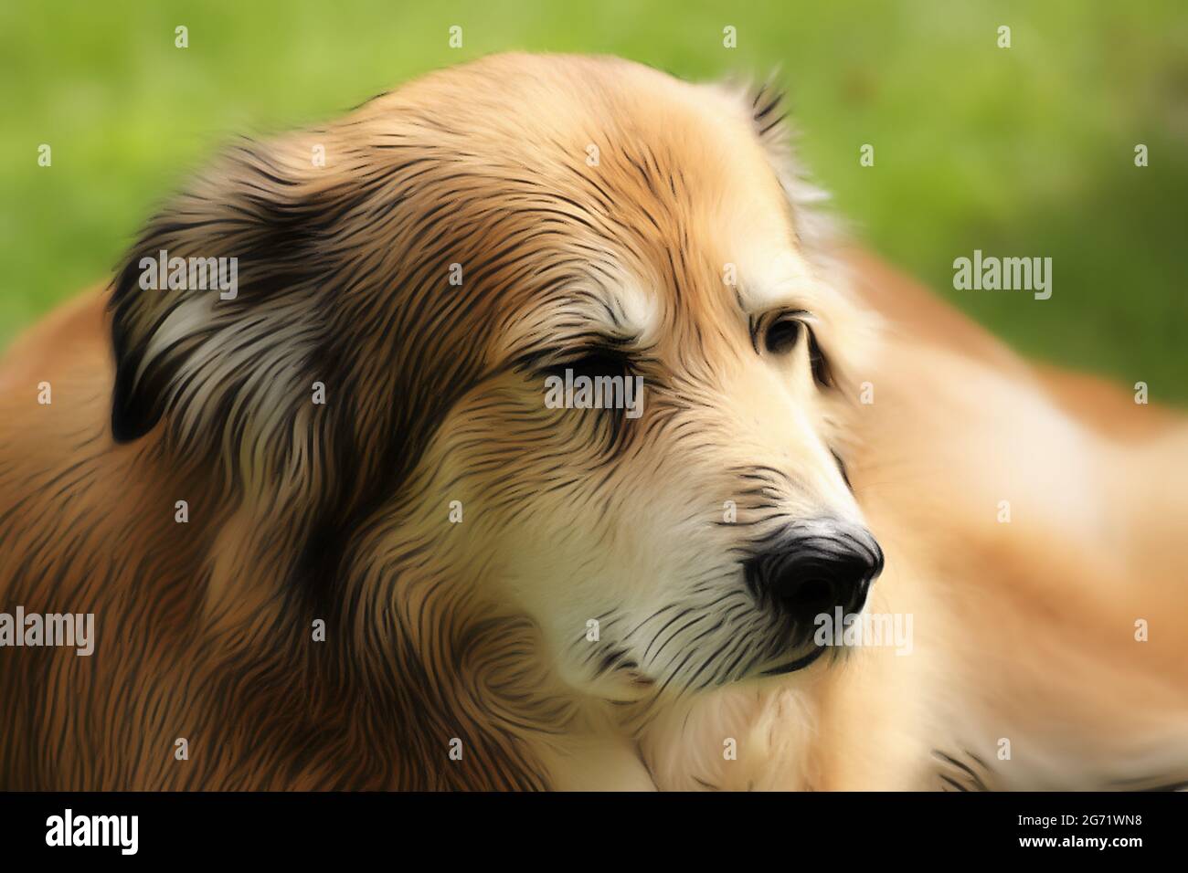 Ritratto di un cane di razza mista della Romania in giardino in primavera nello stile di un disegno morbido con vernici acriliche Foto Stock