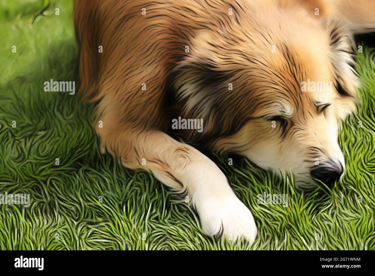 Ritratto di un cane di razza mista della Romania in giardino in primavera nello stile di un disegno morbido con vernici acriliche Foto Stock