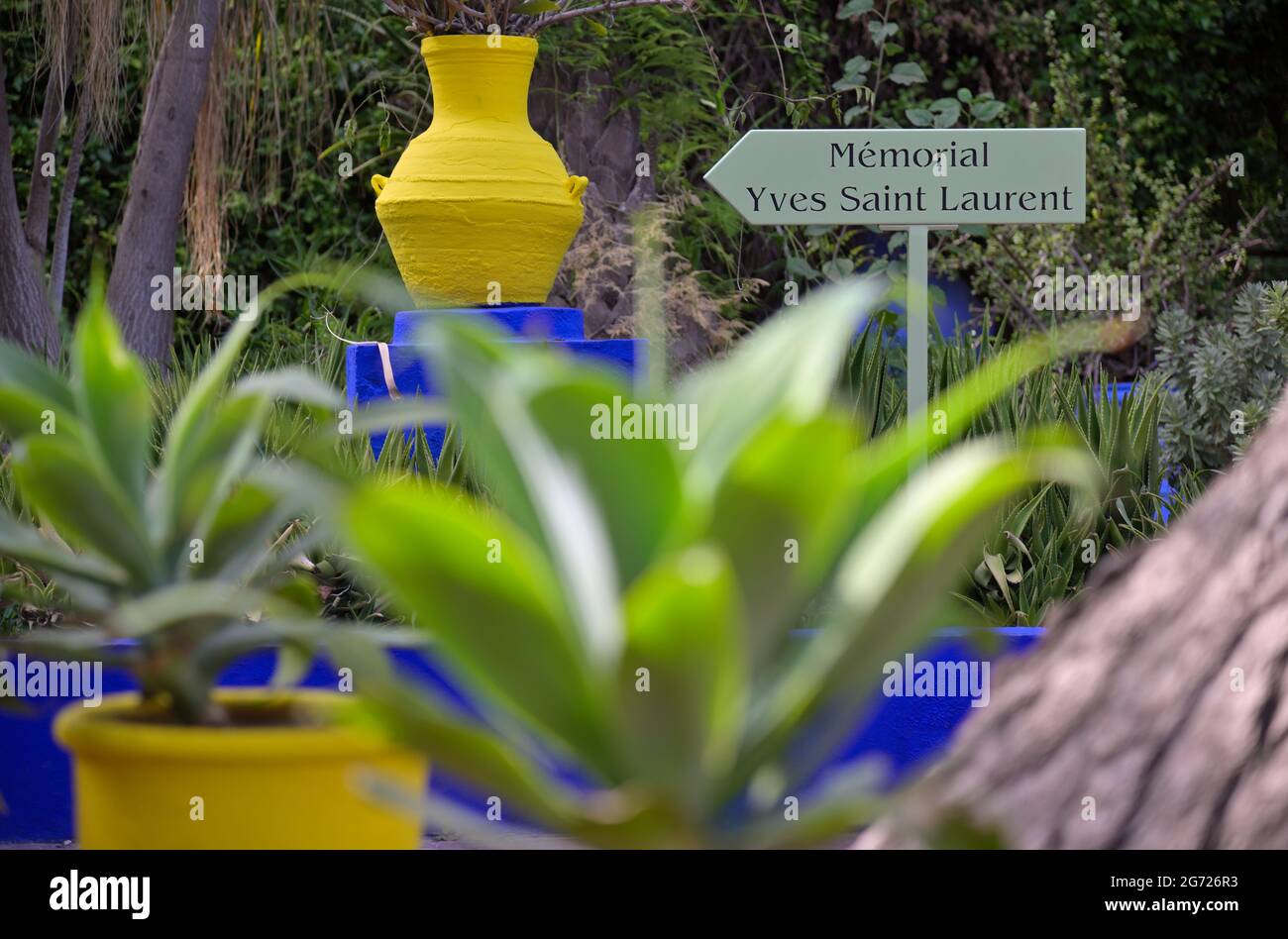 Il Museo YSL e il Giardino Majorelle a Marrakech, Marocco ma Foto Stock