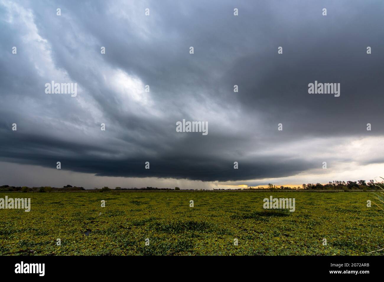 Grande tempesta su una piccola laguna coperta di piante d'acqua e cielo scuro a San Vicente, Buenos Aires Foto Stock