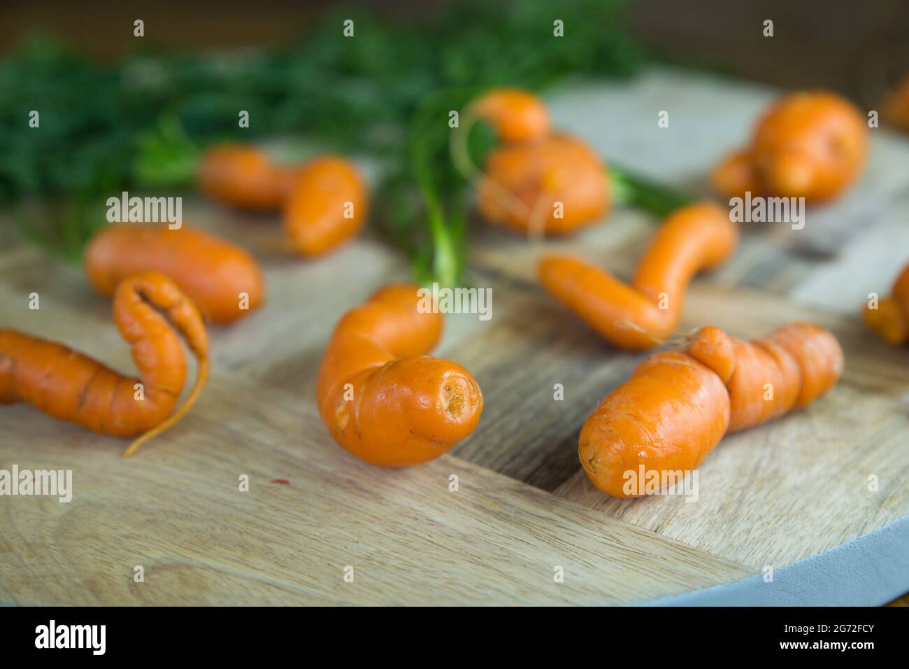 Guarda le carote fresche di forma divertente su un tavolo di legno Foto Stock
