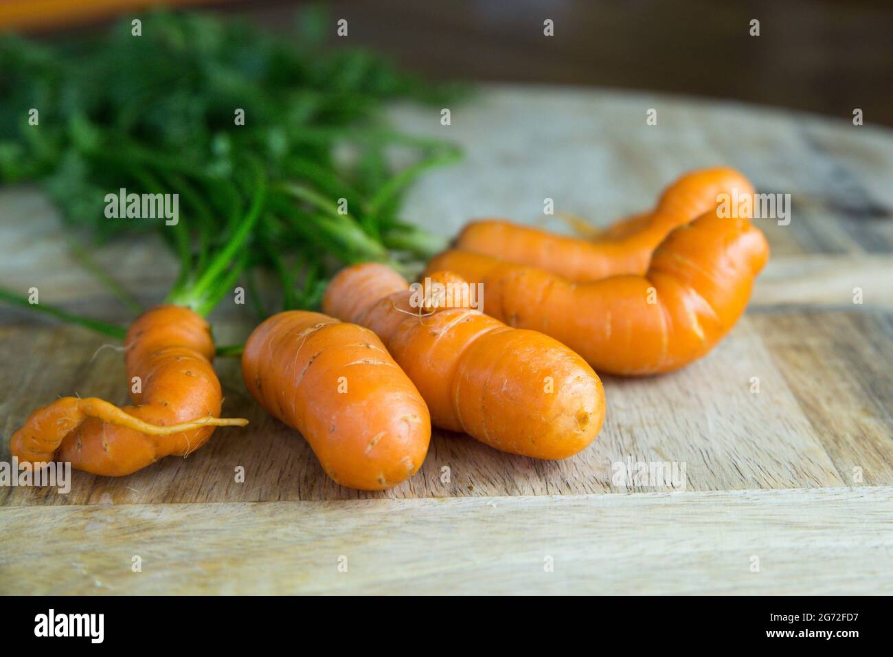 Guarda le carote fresche su un tavolo di legno Foto Stock