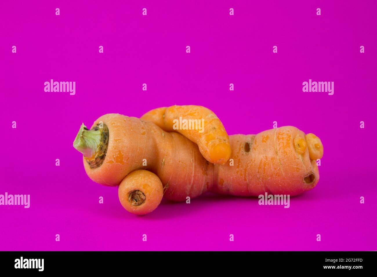 Isolata carota divertente che assomiglia a un uomo che riposa su un vibrante sfondo rosa Foto Stock