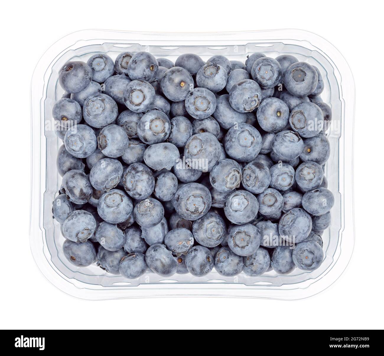 Mirtilli freschi in un contenitore di plastica trasparente. Frutti crudi di Vaccinium corymbosum, bacche di mirtilli dell'alta macchia settentrionale di colore blu scuro. Foto Stock