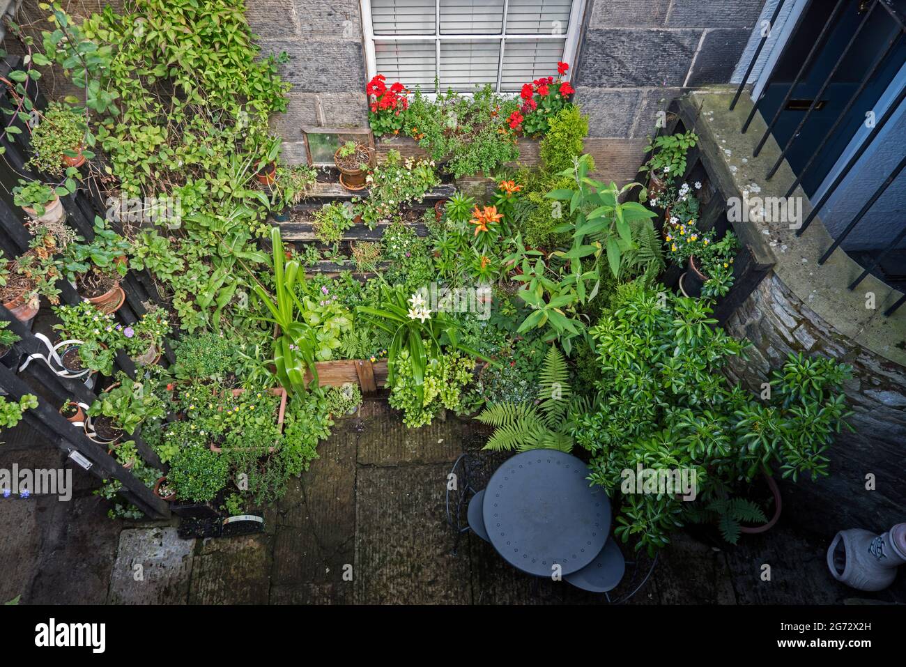 Giardino seminterrato in estate a New Town, Edimburgo, Scozia, Regno Unito. Foto Stock