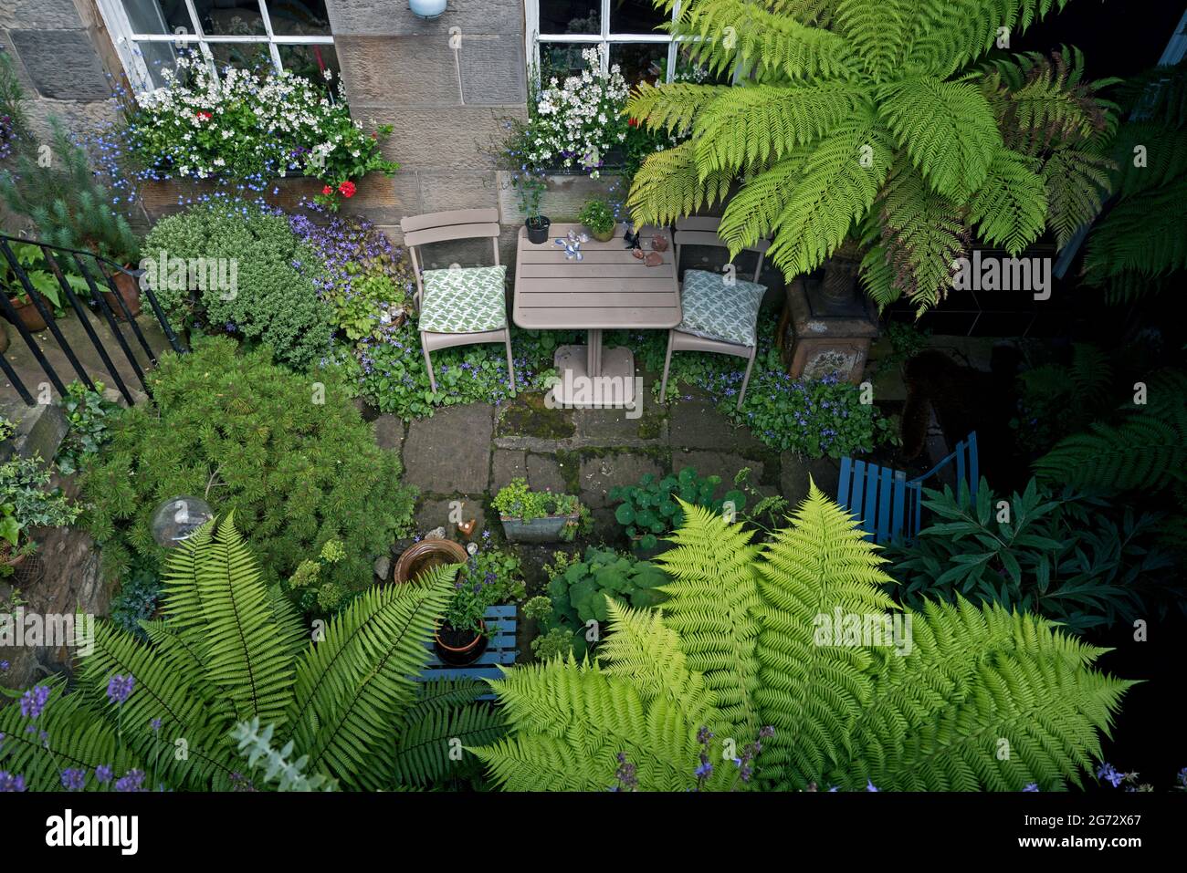 Giardino seminterrato in estate a New Town, Edimburgo, Scozia, Regno Unito. Foto Stock