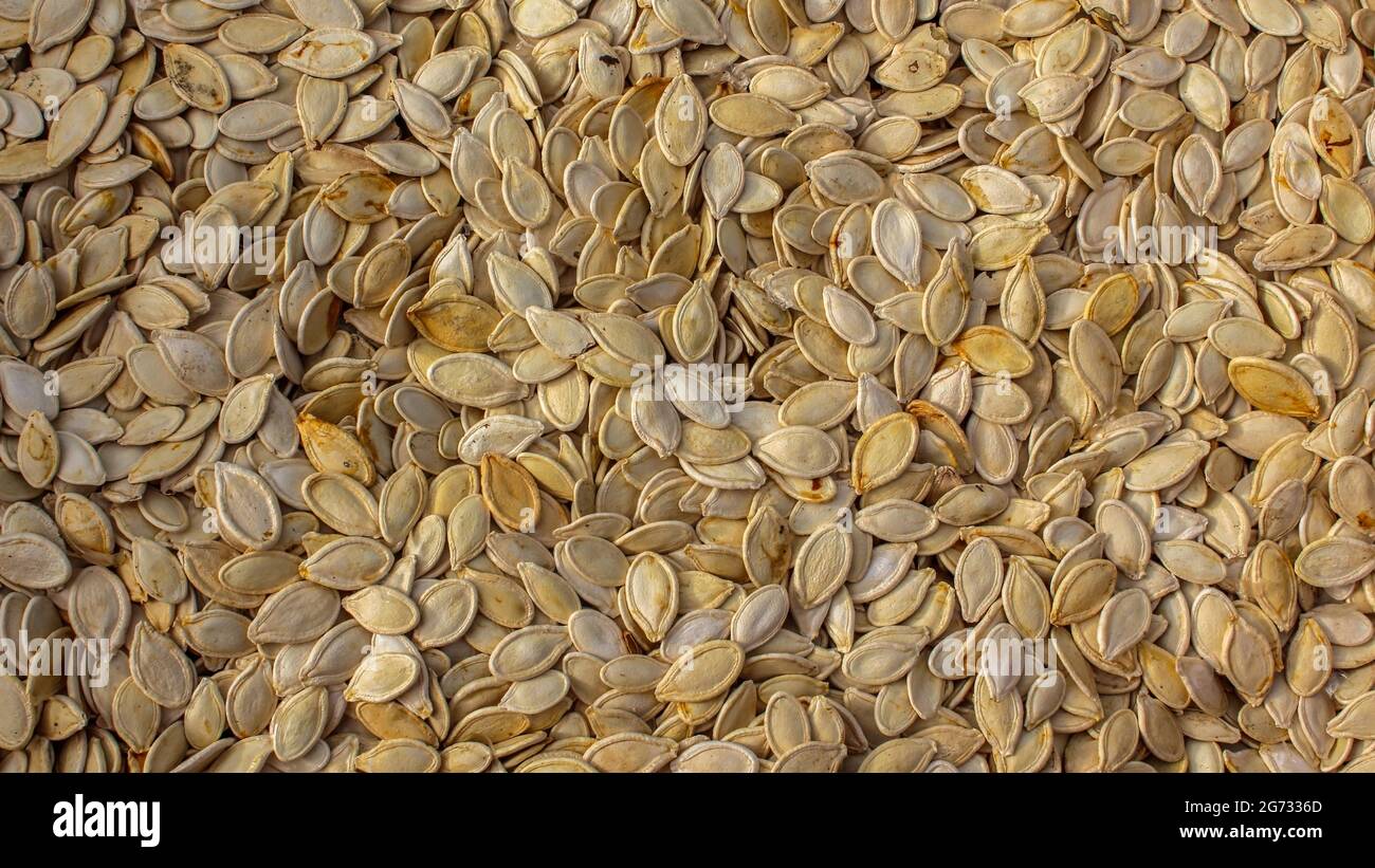 Molti semi di zucca, sfondo. Semi e alimenti vegetali sani e non sbucciati. Foto Stock