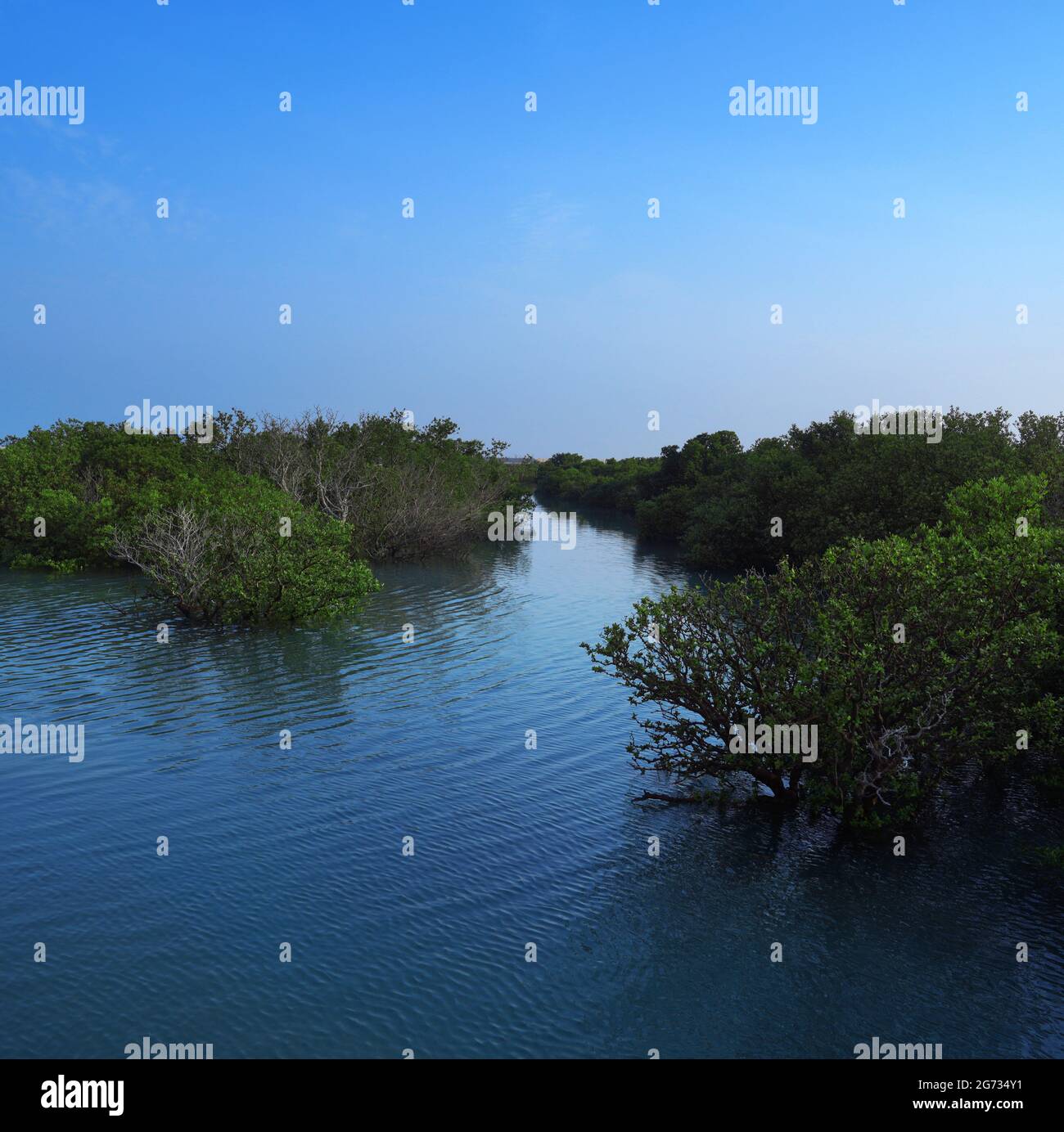 L'isola di al Khor, conosciuta anche come Jazirat bin Ghanim e Purple Island, è un'isola situata nel comune di al Khor, sulla costa nord-orientale del Qatar Foto Stock