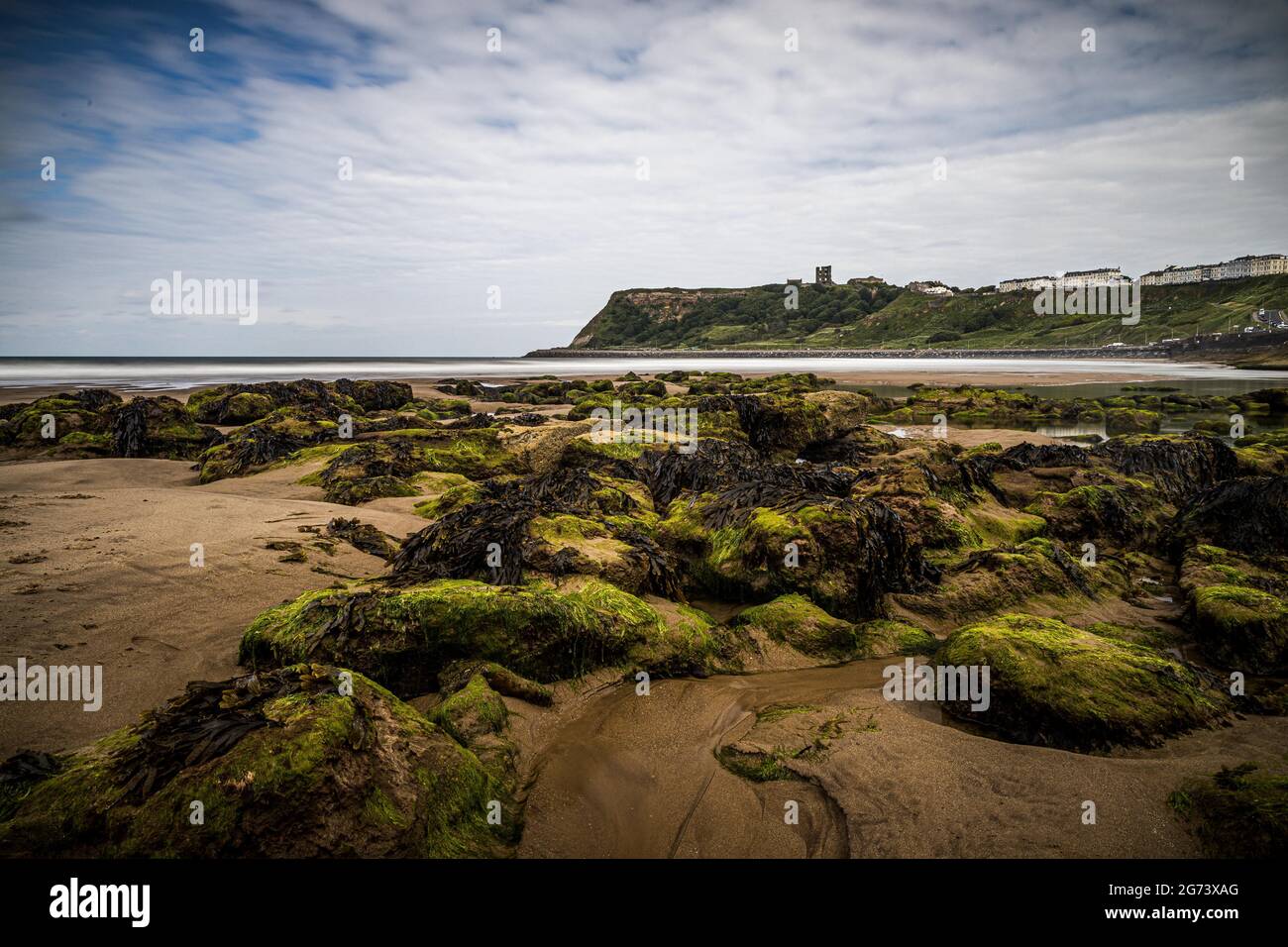 Una vista di rocce mussose in una baia con il Castello di Scarborough sullo sfondo Foto Stock