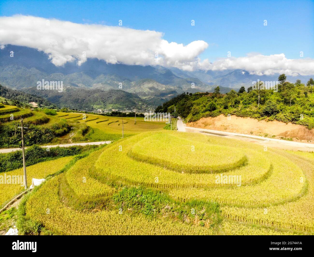 Risaia bella nella provincia di Yen Bai in Vietnam Foto Stock