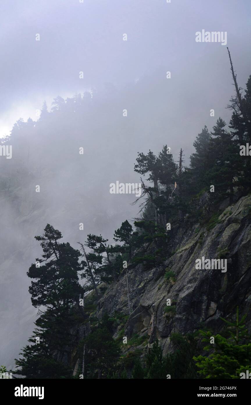 Nebbia mattutina nel bacino dei Cavallers (Valle di Boí, Parco Nazionale Aigüestortes i Estany de Sant Maurici, Catalogna, Spagna, Pirenei) Foto Stock