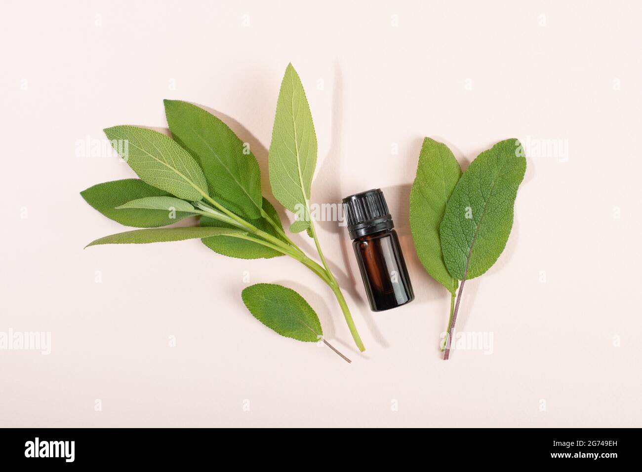 Contenitore cosmetico e foglie di salvia erboristica su sfondo chiaro piatto posare vista dall'alto. Cosmetici SPA branding mock-up. Concetto di prodotto di bellezza organico. Foto Stock