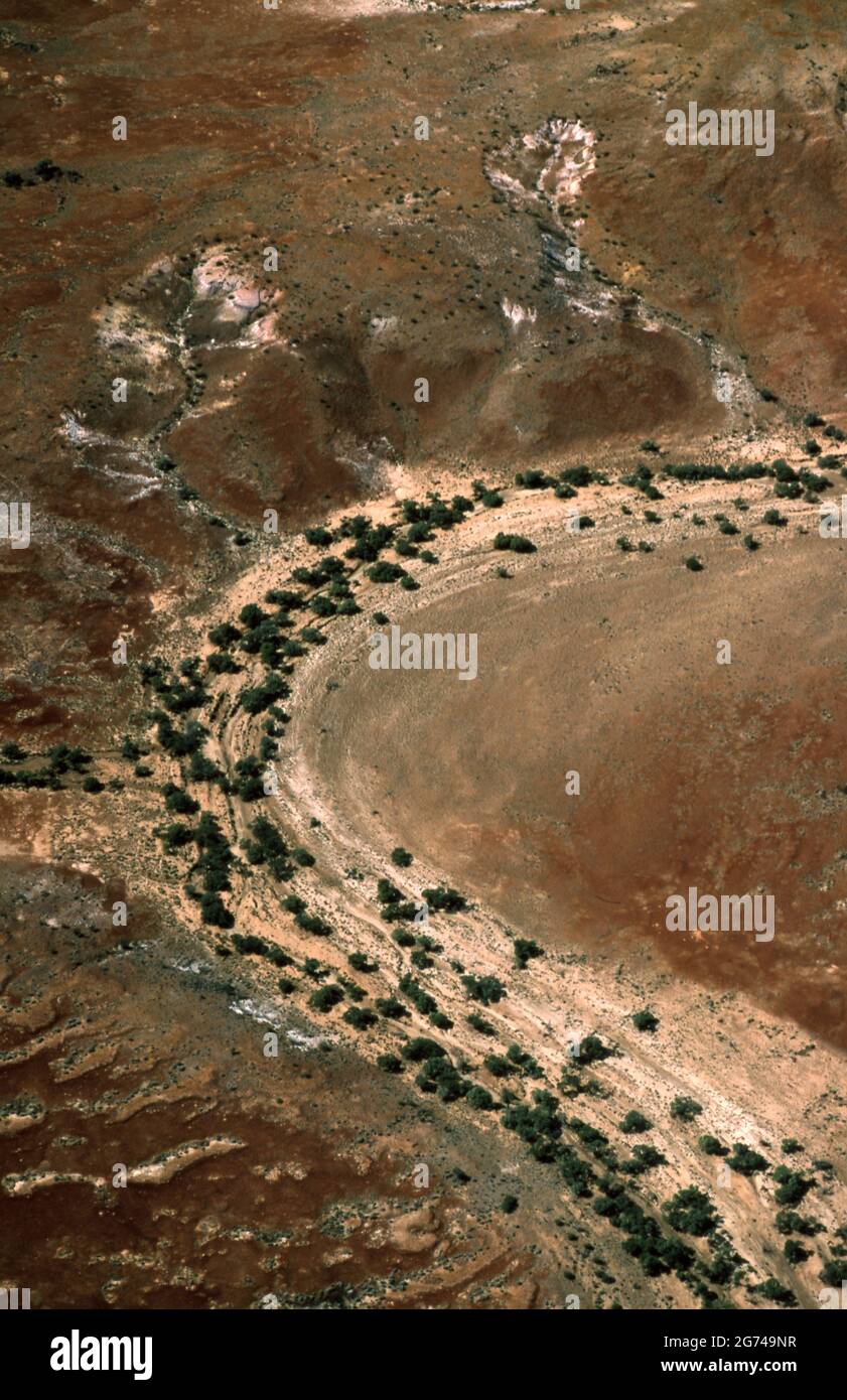 GLI ALBERI CRESCONO IN UN LETTO DI FIUME ESSICCATO NEL DESERTO DI SIMPSON, AUSTRALIA CENTRALE. Foto Stock