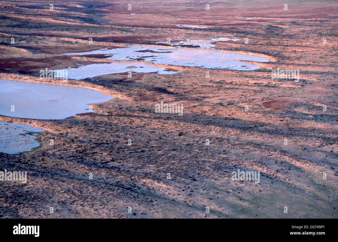 VOLO SOPRA LE BUCHE D'ACQUA E DUNE DI SABBIA PARALLELE E RONDINE (VALLI) DEL VASTO DESERTO DI SIMPSON, AUSTRALIA CENTRALE. Foto Stock