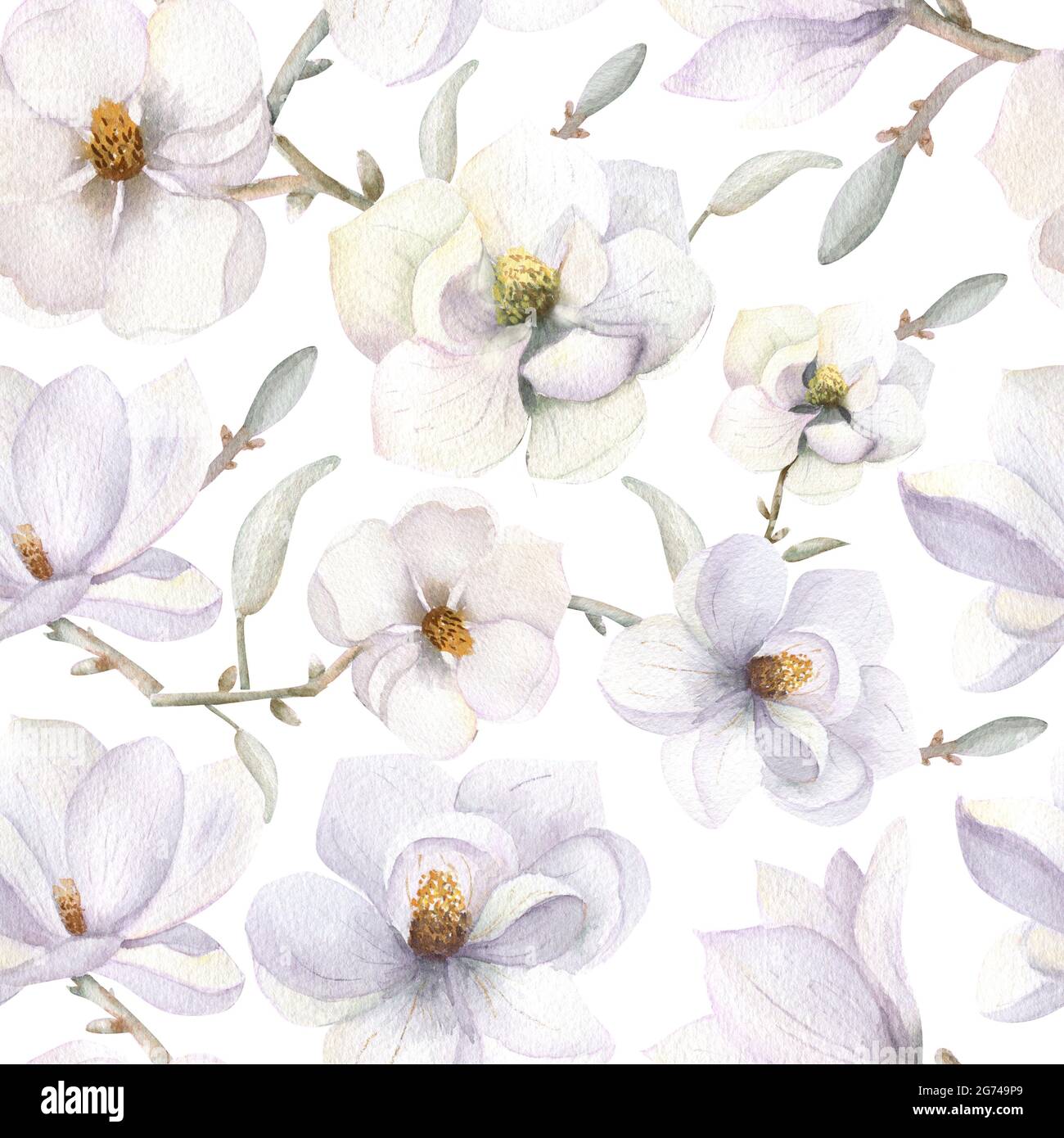 Motivi senza cuciture con fiori magnolia in stile boho su uno sfondo bianco isolato. Illustrazione acquerello Foto Stock