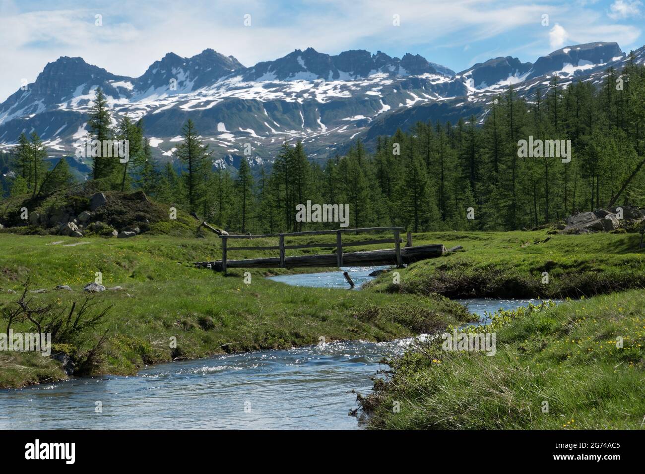 Piccolo ponte sul fiume in un bellissimo paesaggio alpino, Rio de Buscagna nelle alpi italiane Foto Stock