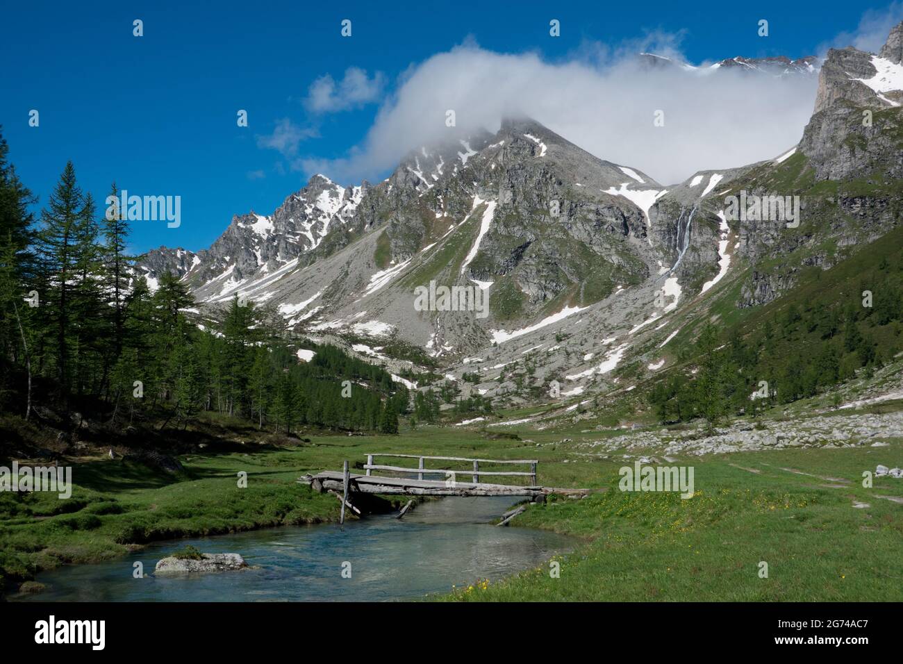 Piccolo ponte sul fiume in un bellissimo paesaggio alpino, Rio de Buscagna nelle alpi italiane Foto Stock