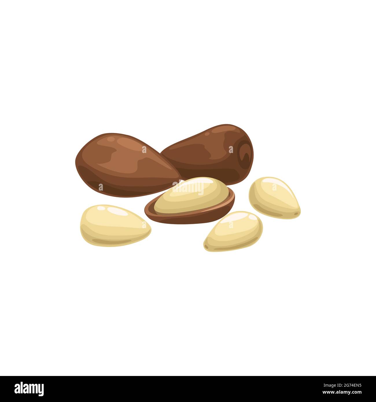 Argan nut o Argania spinosa isolato sbucciato e Husky ingrediente alimentare sano organico. Vettore noce giapponese, ingrediente di olio di argan, supercibo di nocciolo, s Illustrazione Vettoriale Argan nut o Argania spinosa isolato sbucciato e Husky ingrediente alimentare sano organico. Vettore noce giapponese, ingrediente di olio di argan, supercibo di nocciolo, s Illustrazione Vettoriale