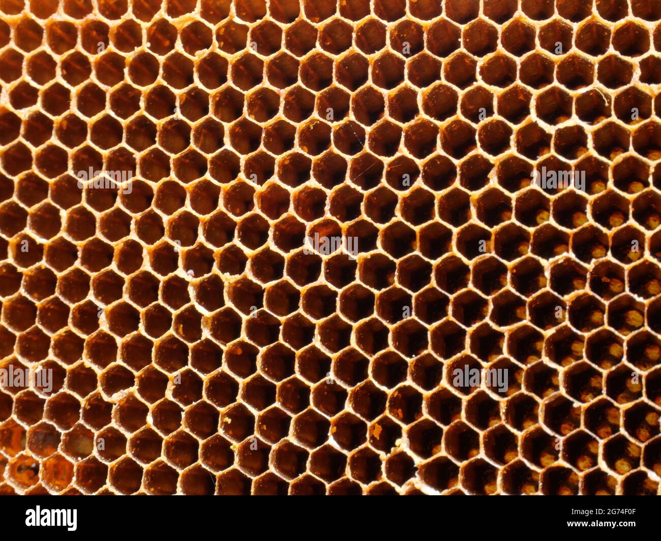 L'area marrone è riempita con canali esagonali., sfondo astratto su Honeycomb, trama per aggiungere testo o grafica Foto Stock
