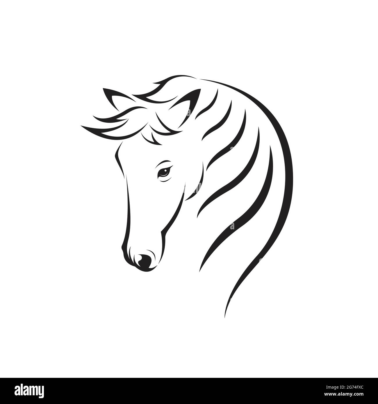 Vettore di testa di cavallo disegno su sfondo bianco. Illustrazione  vettoriale a livelli facilmente modificabile. Animali selvatici. Animale  Immagine e Vettoriale - Alamy