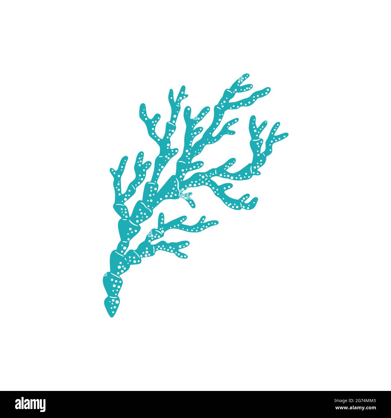 Pelle corallo duro con punte taglienti o bordi isolati pianta subacquea. Ramo vettoriale di finger pelle corallo, Caraibi e Mar Rosso pianta. Decorazione Illustrazione Vettoriale