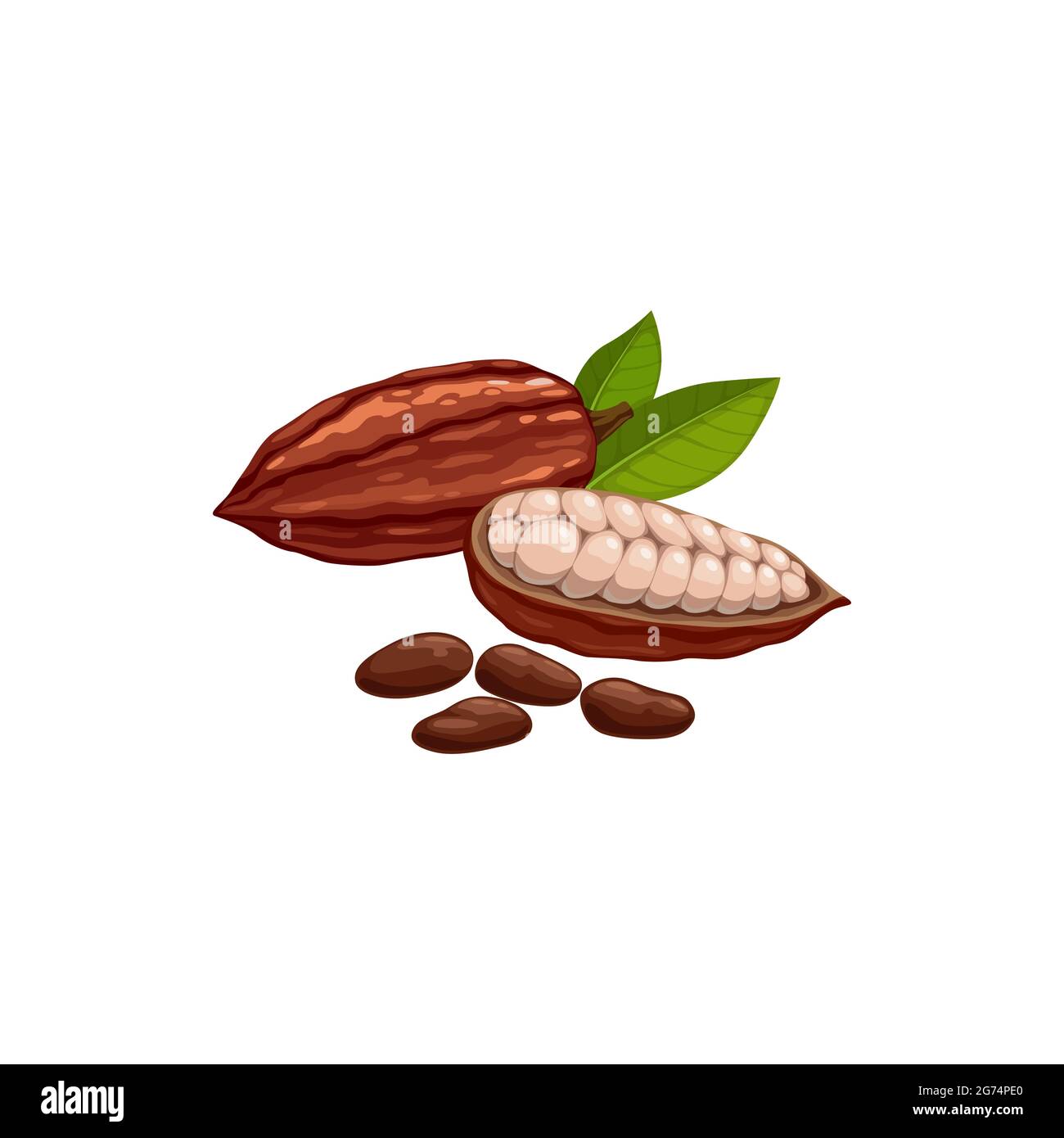 Cialda di cacao in fase di rigatura semi secchi e fermentati di Brasile o Indonesia frutta isolato icona. Cialde di caffè vettoriali, chicchi di cacao al cioccolato super Illustrazione Vettoriale