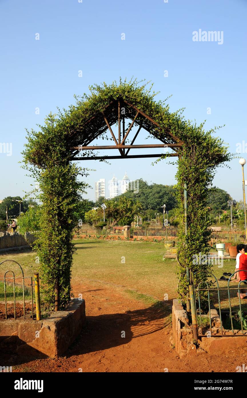 Arco di foglia verde Bombay società comunale o giardino pensile o giardino ferozeshah mehta Foto Stock
