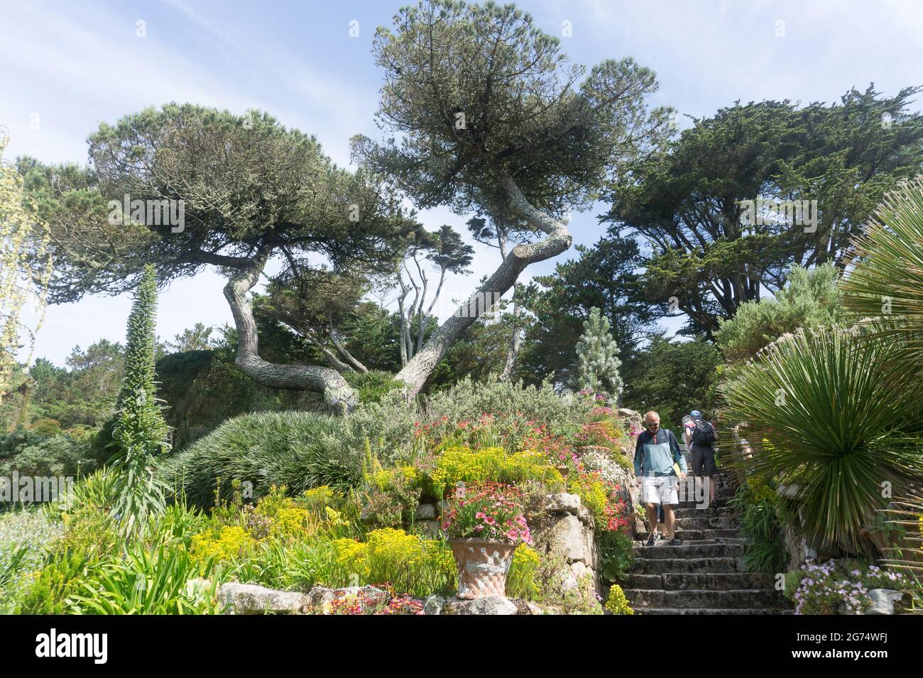 Abbey Gardens con la sua vegetazione subtropica attrae visitatori, Tresco, Isole di Scilly, Cornovaglia, Regno Unito Foto Stock