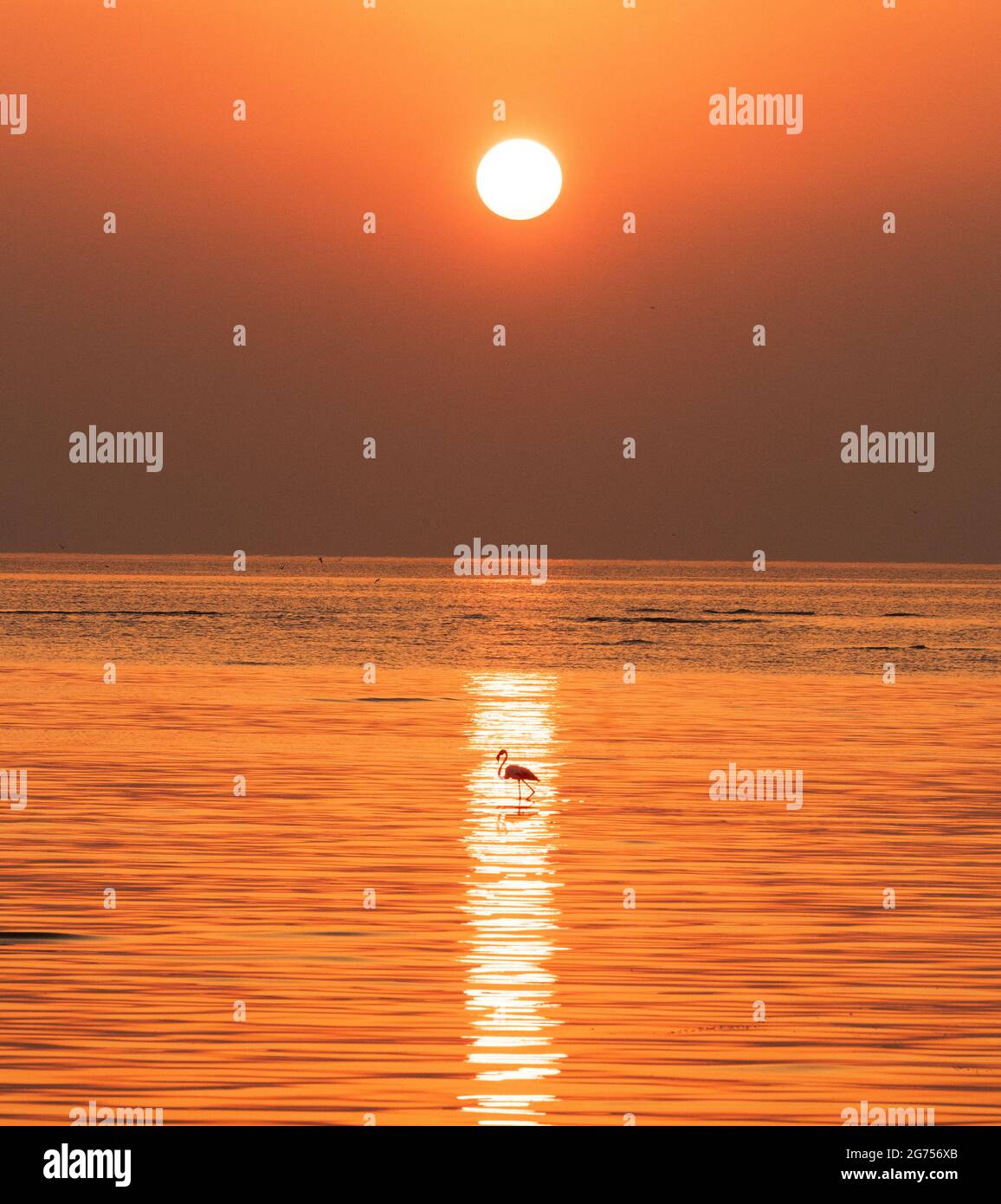 Una bella mattina alla spiaggia di Wakra - QATAR Foto Stock