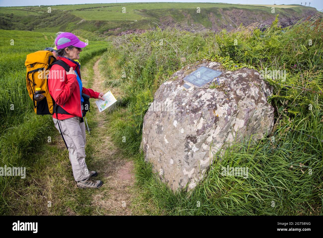 La pietra di marcatura commemorava l'atterraggio di Henry Tudor sulla costa di Pembrokeshire nel 1485 sul sentiero costiero di Pembroke, Galles, Regno Unito Foto Stock