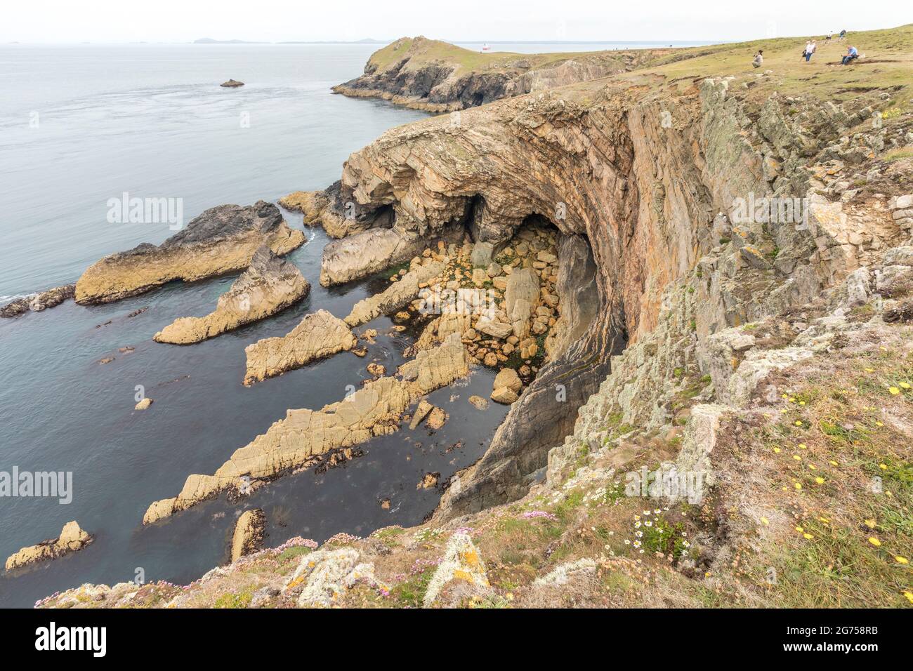 Scogliere rocciose sulla costa di Mouse's Haven sul Pembroke Coast Path, Galles, Regno Unito Foto Stock