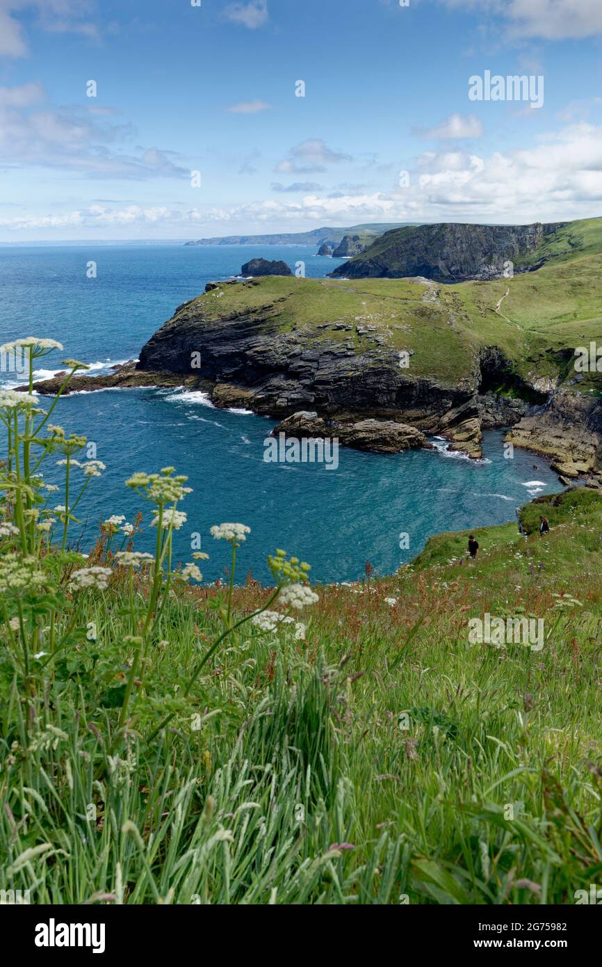 Il paesaggio superbo abbonda lungo la costa nord della Cornovaglia nell'estremo sud-ovest dell'Inghilterra. Specialmente qui a Tintagel Foto Stock Il paesaggio superbo abbonda lungo la costa nord della Cornovaglia nell'estremo sud-ovest dell'Inghilterra. Specialmente qui a Tintagel Foto Stock