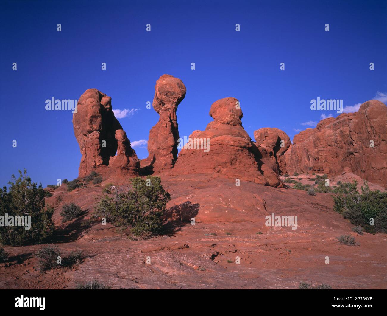 Stati Uniti d'America. Utah. Arches National Park. Giardino di Eden formazioni rocciose. Foto Stock