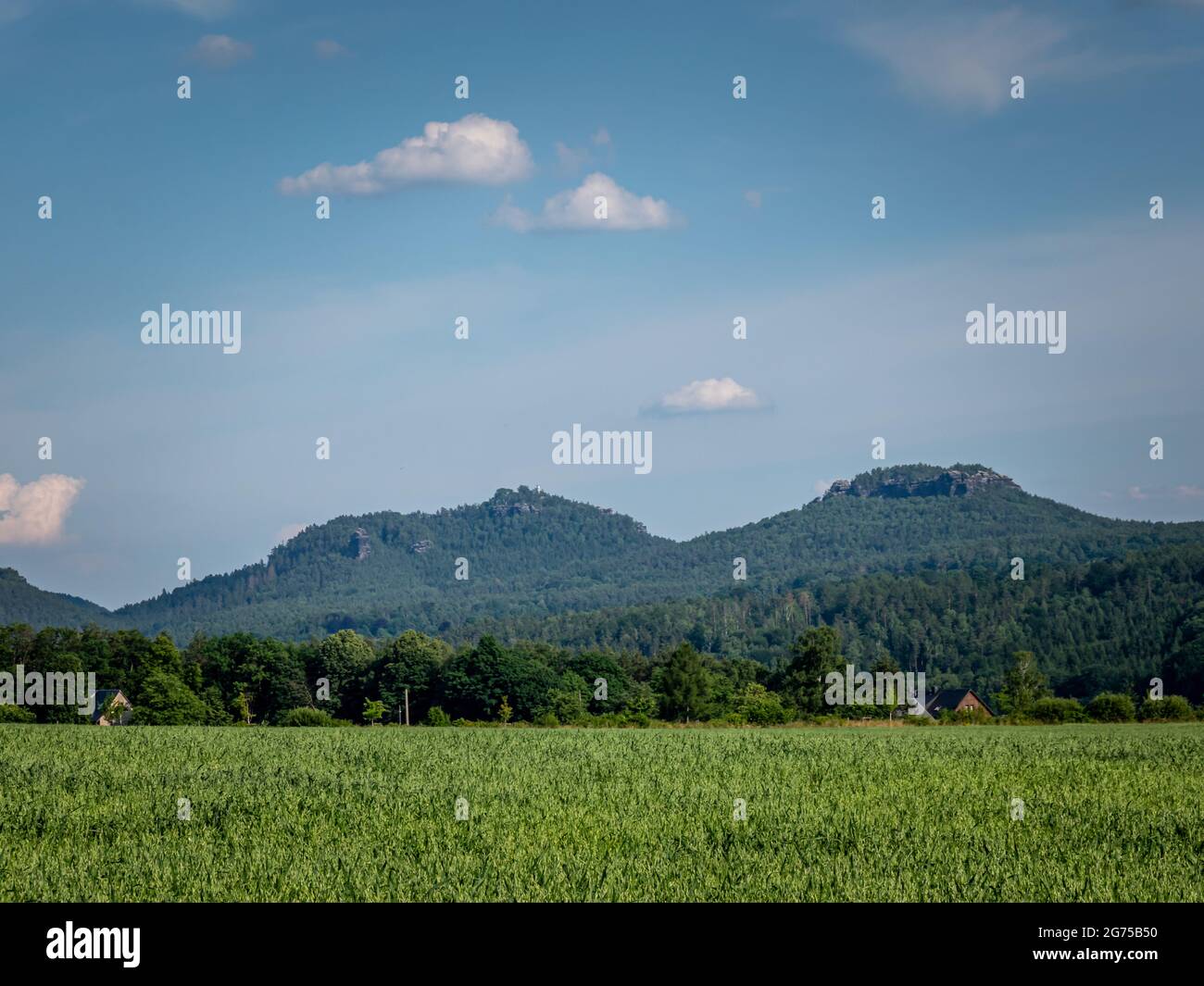 Panorama montano della Svizzera sassone Foto Stock