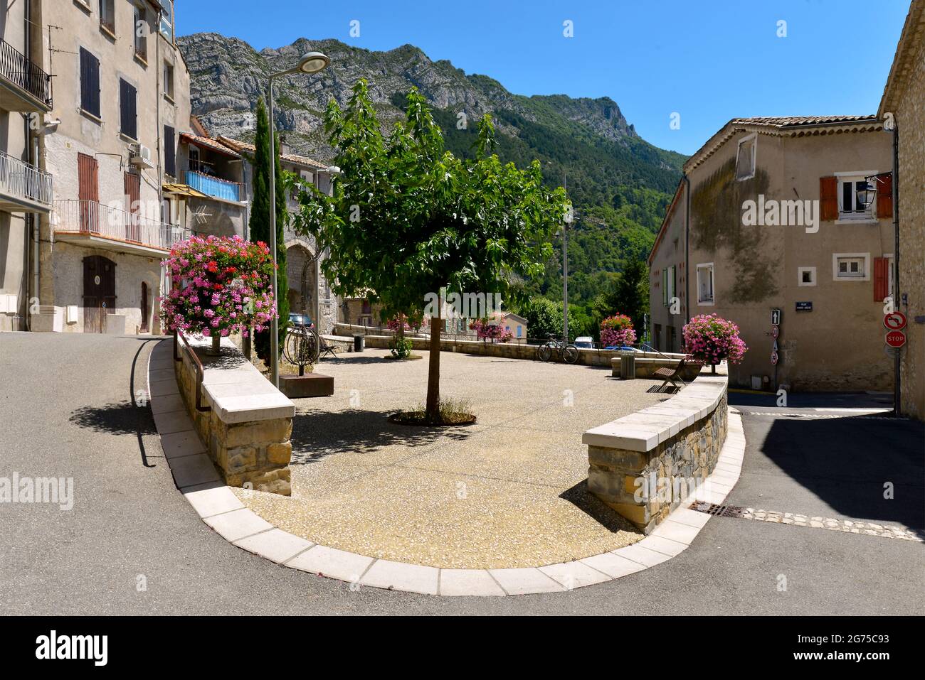 Côte e fiori di geranio a Sisteron, un comune nel dipartimento delle Alpi dell'alta Provenza nella regione Provenza-Alpi-Costa Azzurra in Francia Foto Stock