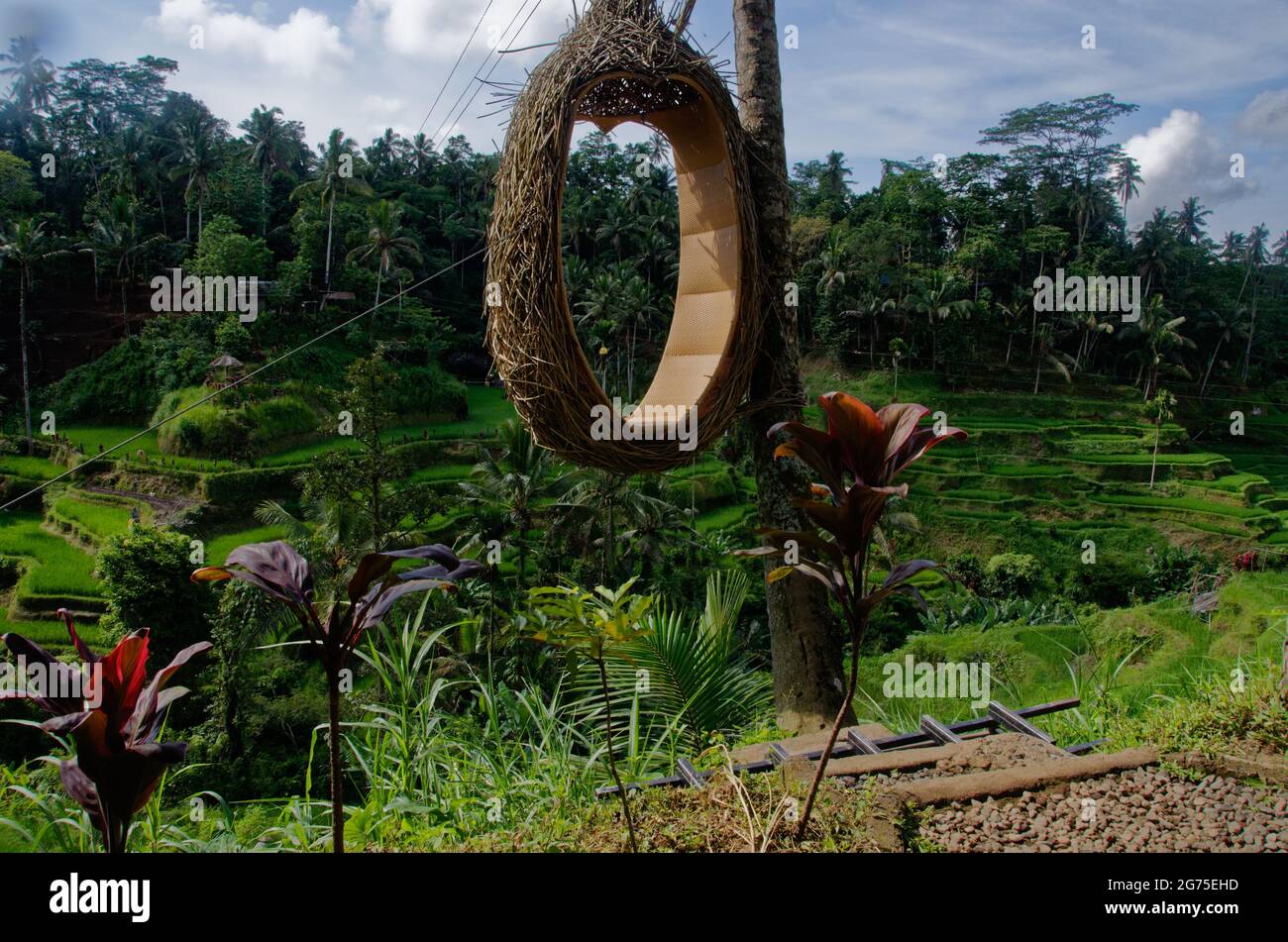 Anello sospeso per i turisti per scattare fotografie, le terrazze di riso Tegallalang vicino a Ubud, Bali, Indonesia Foto Stock