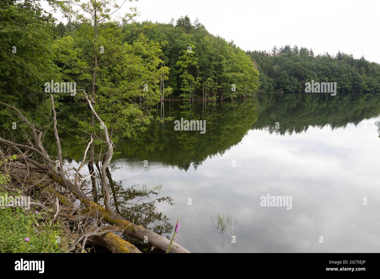 Riserva del Bevertalsperre nel Bergisches Land, Nord Reno-Westfalia, Germania. Foto Stock