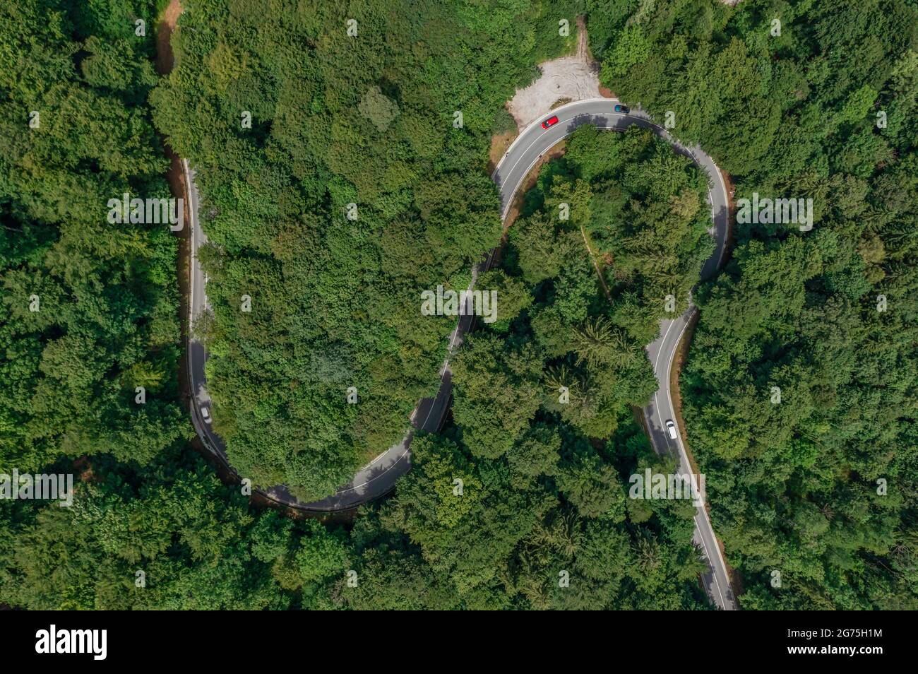 Strada curvilinea nel mezzo di una foresta verde in estate. Foto aerea come concetto per un viaggio su strada in auto, viaggio in vacanza come top down shot Foto Stock