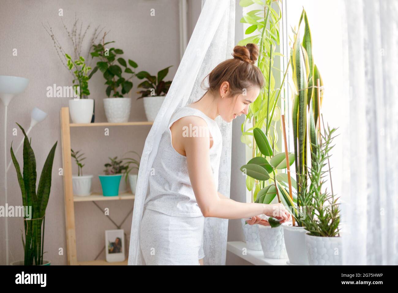 Giovane femmina con trecce sorridenti e prendersi cura di piante in vaso mentre giardinaggio nel fine settimana a casa Foto Stock