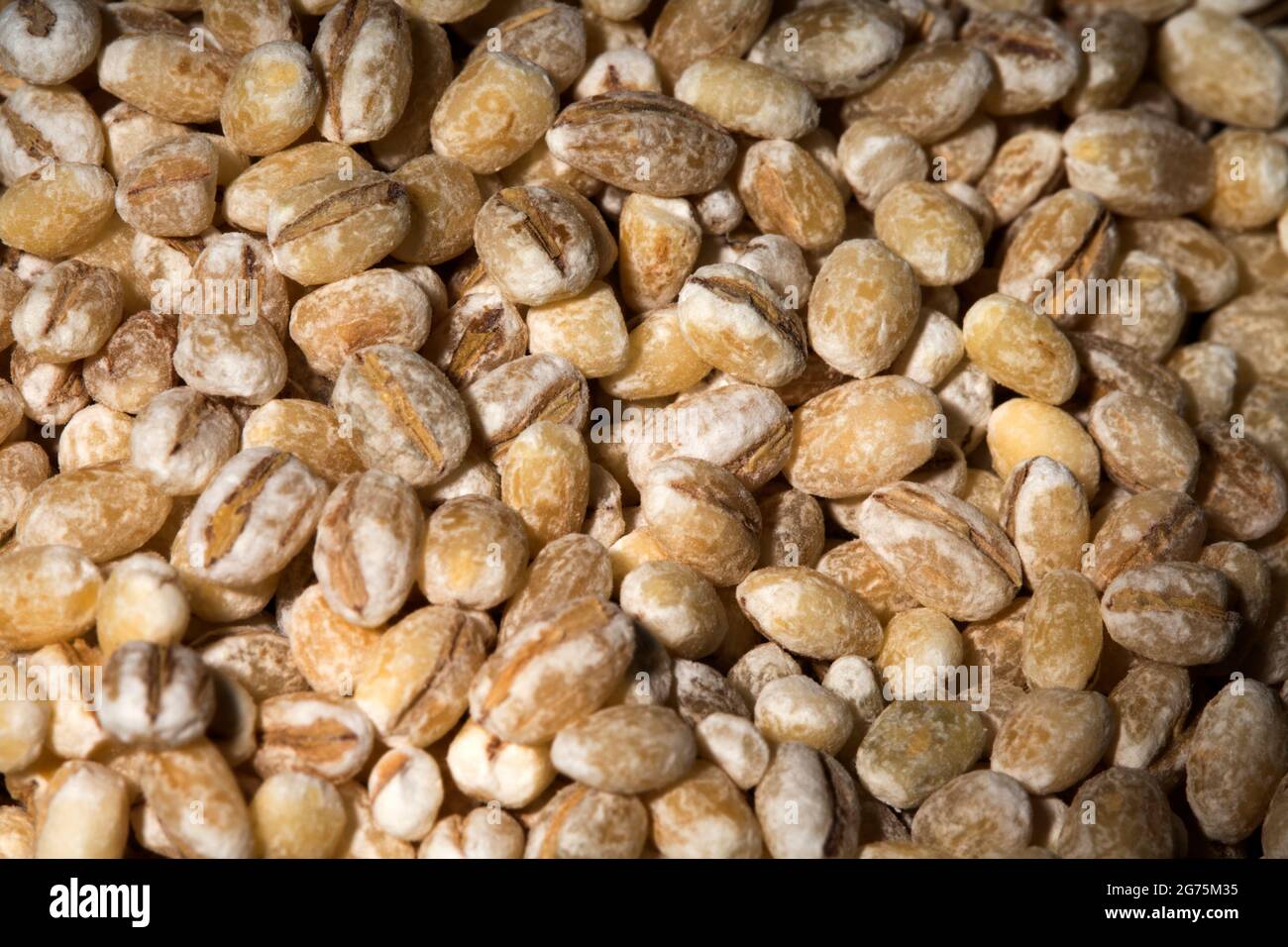 Orzo perlato Foto Stock