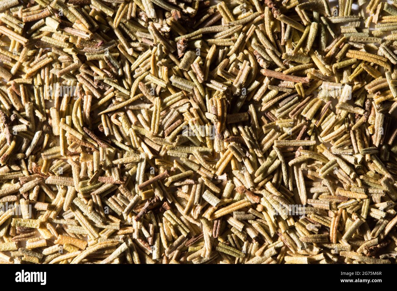Rosmarino secco Foto Stock
