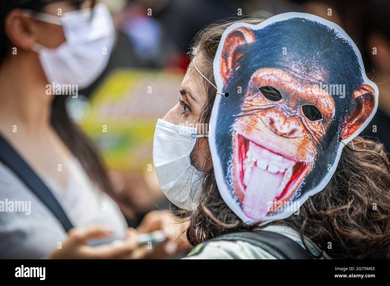 Un protester indossa una maschera di scimmia durante la dimostrazione. Gli  attivisti e le organizzazioni per i diritti degli animali hanno protestato  contro la legge sui diritti degli animali approvata alla Grande
