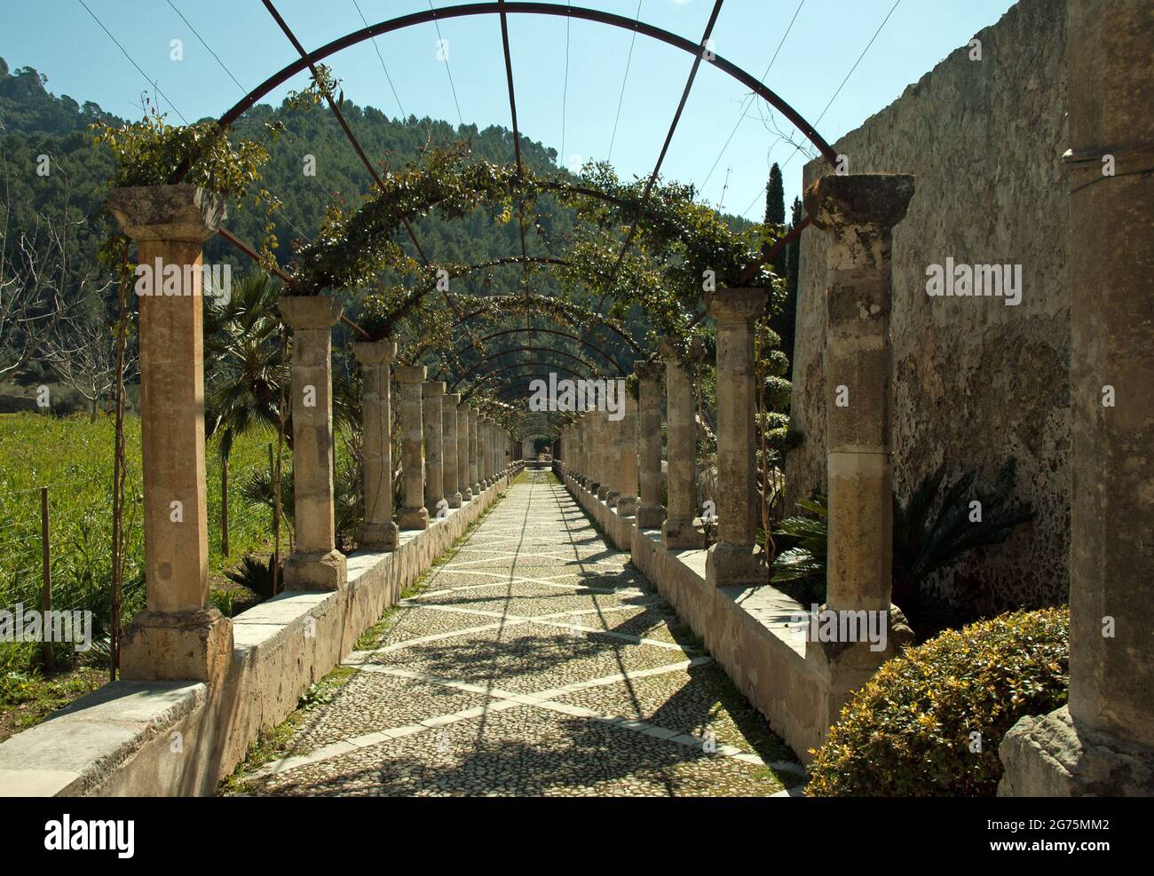 Jardín d´Alfabia, Maiorca, Isole Baleari Foto Stock
