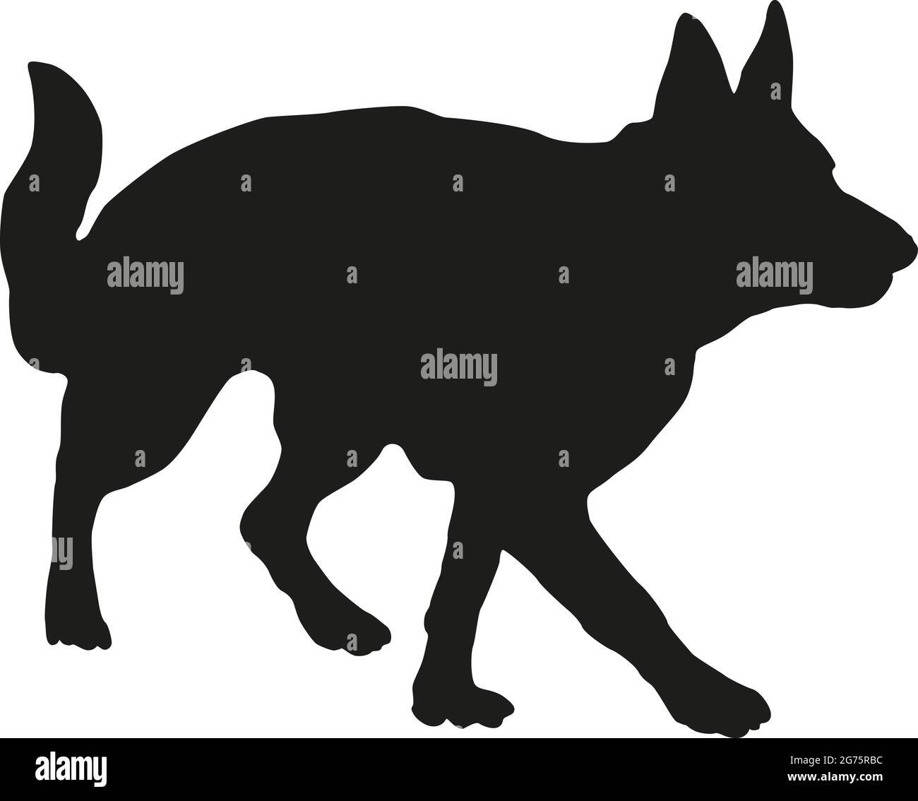 Cucciolo di cane da pastore tedesco a piedi. Silhouette nera per cani. Animali domestici. Isolato su sfondo bianco. Illustrazione vettoriale. Illustrazione Vettoriale