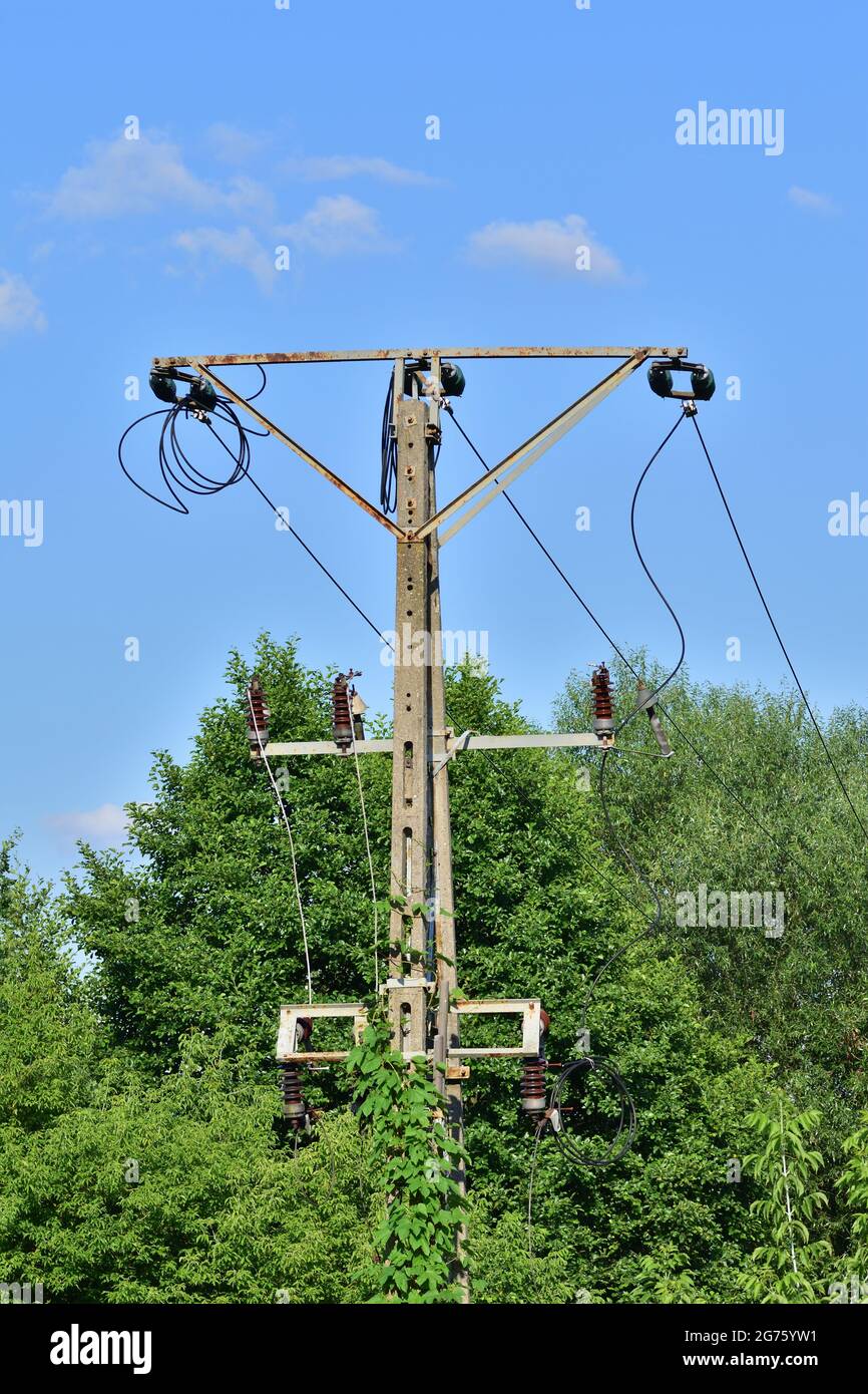 Cavi elettrici ad alta tensione tra alberi. Pericolo Foto stock - Alamy