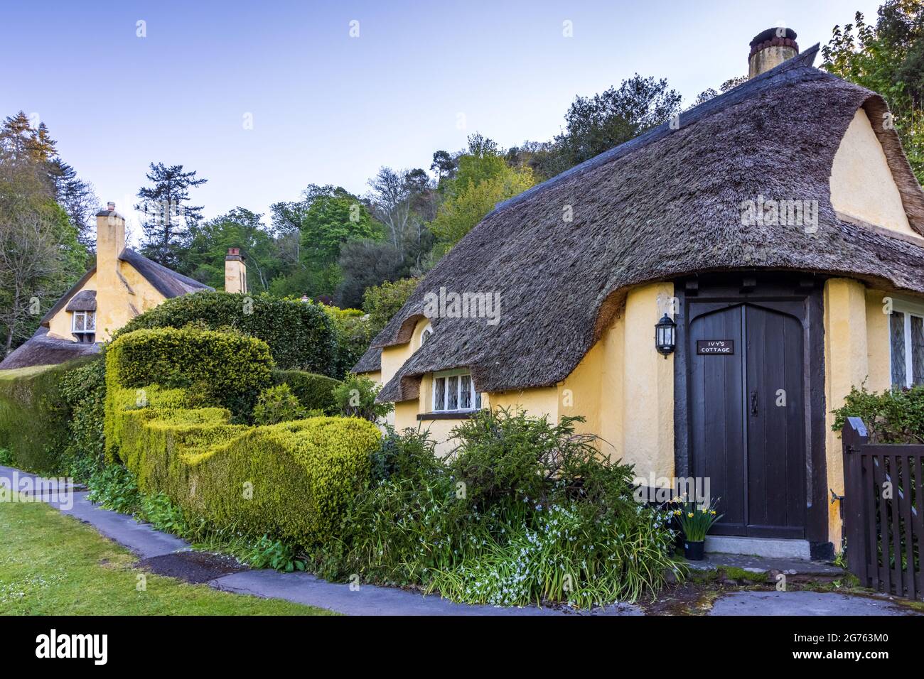 Ivy's Cottage, uno dei cottage storici nel villaggio di Selworthy, vicino a Minehead, nel Parco Nazionale di Exmoor, Somerset, Inghilterra. Foto Stock